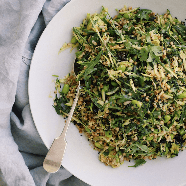 Avocado, Sorghum & Hemp Salad